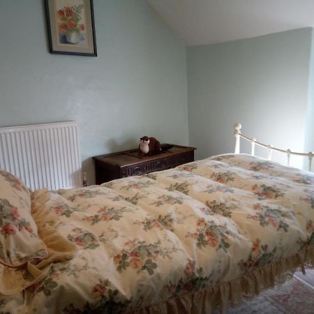 Ty Hen - Quirky Grade II Listed Cottage Blaenau Ffestiniog Exteriör bild
