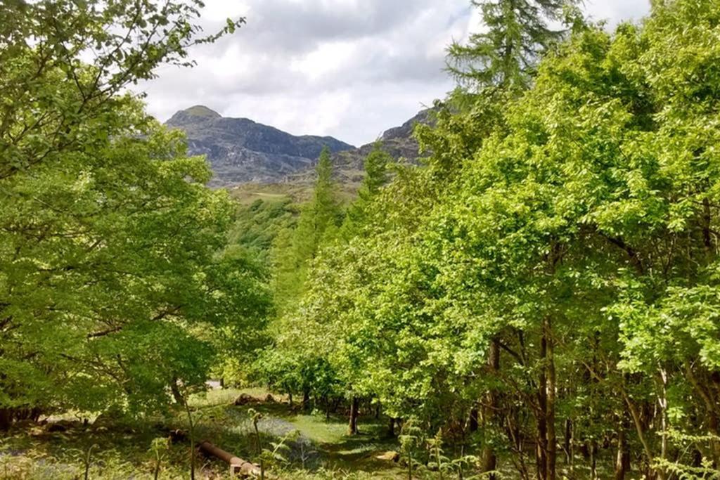 Ty Hen - Quirky Grade II Listed Cottage Blaenau Ffestiniog Exteriör bild